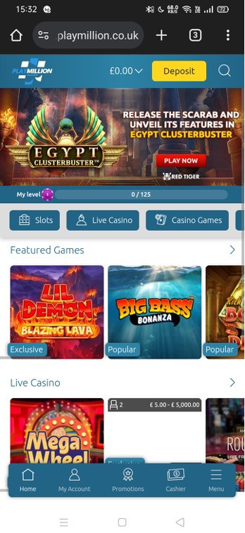 PlayMillion gallery image 2