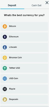 Cryptorino gallery image 5