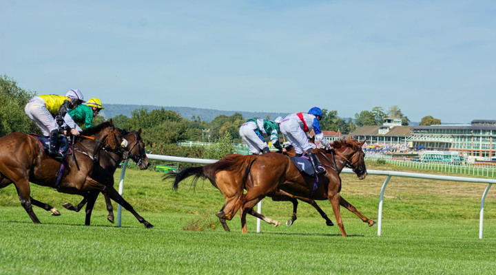 Ted's Treble: "Vanderpoel should be sharper after his Chase debut"