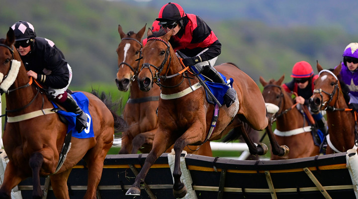 Racing Foundation and Horserace Betting Levy Board behind £759,000 HIPB activity funding