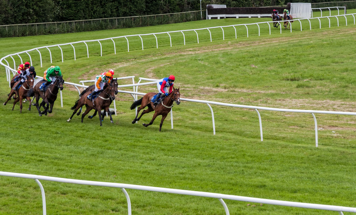 Ted's Treble | Racing picks from Stratford