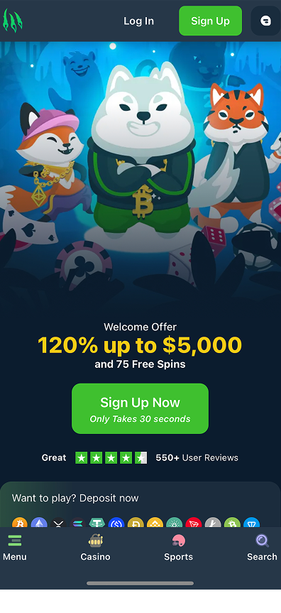 Wild.io gallery image 1