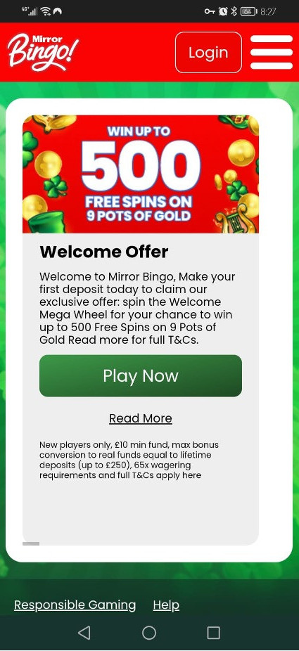 Mirror Bingo gallery image 4