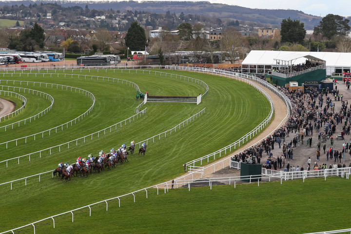 Ted's Treble | Friday picks for Cheltenham's Showcase