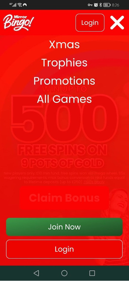 Mirror Bingo gallery image 5