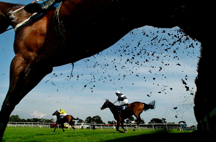 Ted's Treble | Racing picks from Ludlow and Fontwell