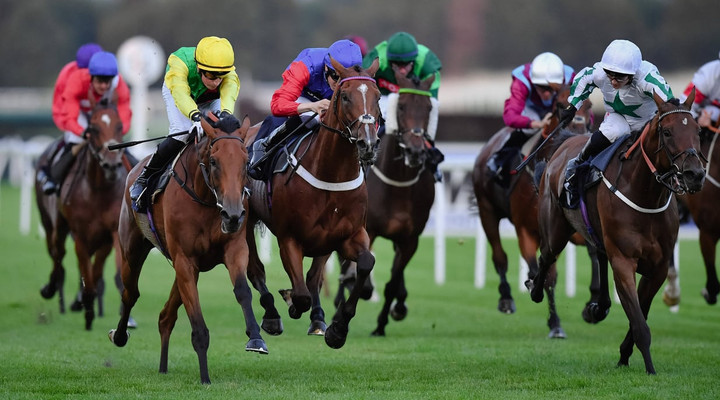 Grosvenor Sport lands two national hunt title sponsorships at Newbury racecourse