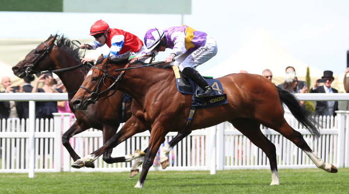 Ted's Treble: Royal Ascot day 1 - tips and predictions 