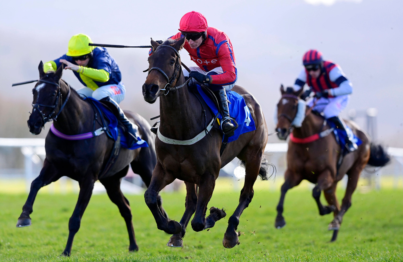 Ted's Treble: Racing tips from Ayr and Bath on 8 October. 