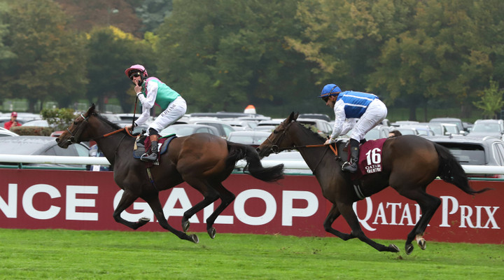Ed Quigley on Prix de l'Arc de Triomphe: "An upset could be on the cards"