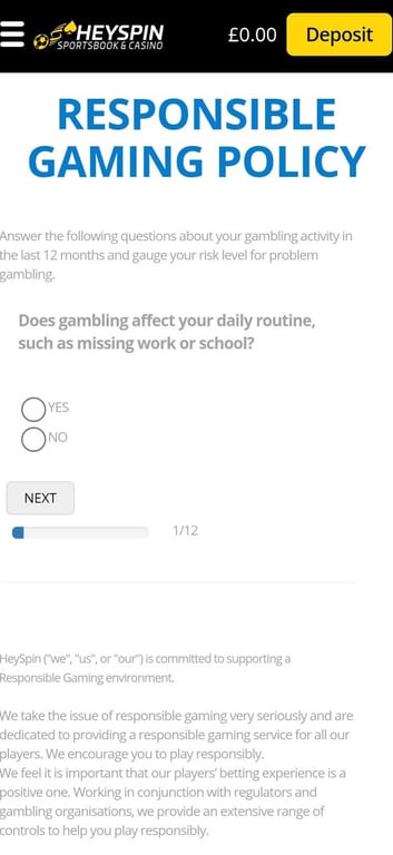 HeySpin Casino gallery image 8