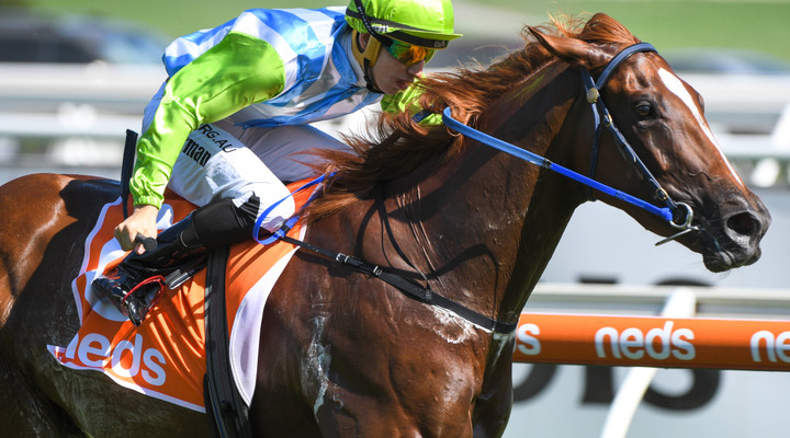 Jockey Lewis German hit with 10-year ban for throwing races for professional gambler 