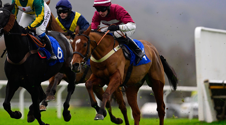 Ted's Treble: "Eaton Anne will be happy if the ground turns soft"