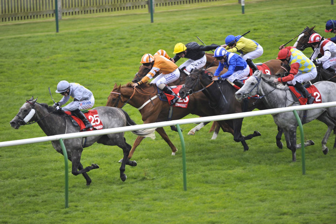 Ted’s Treble: Newmarket Saturday’s tips of the day 