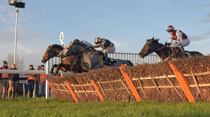 November Meeting: Cheltenham betting tips and predictions