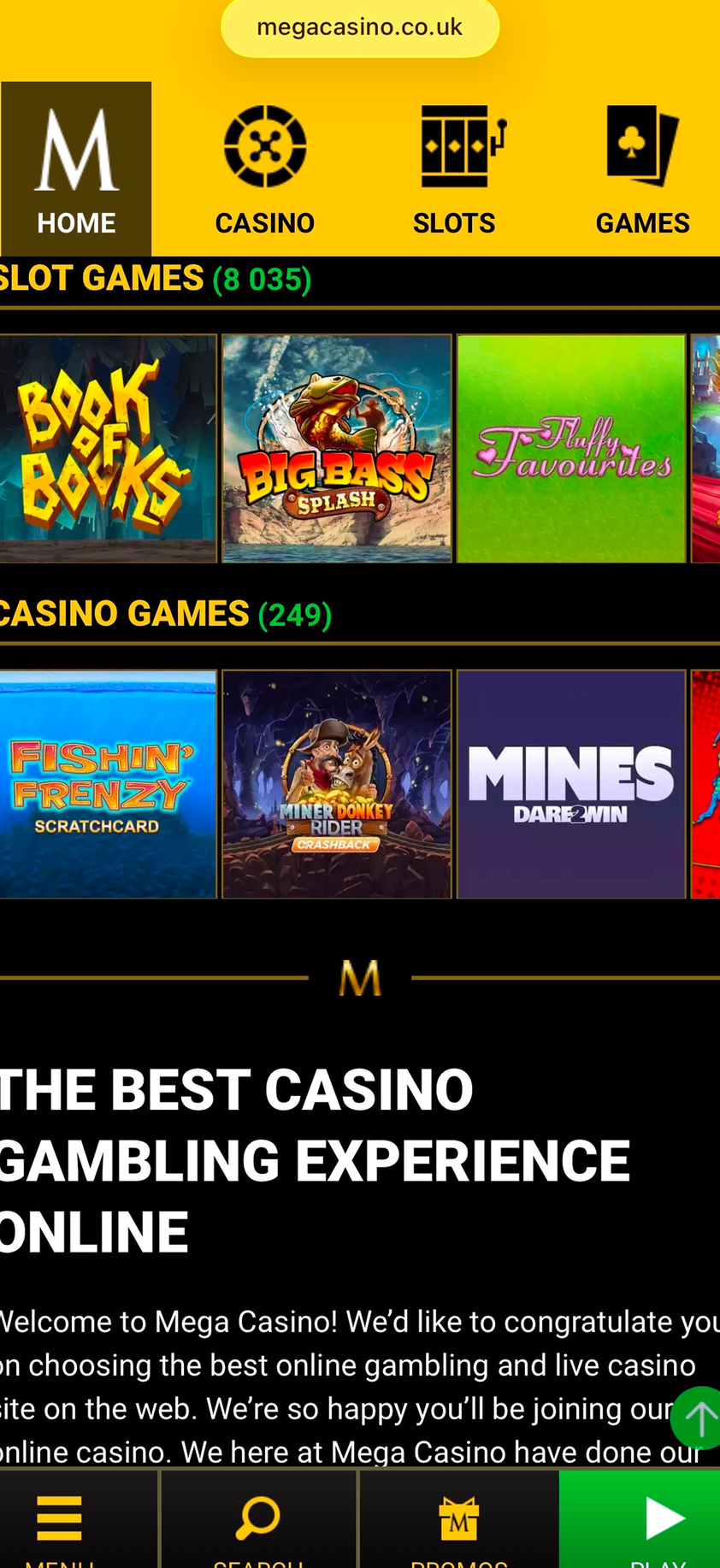 Mega Casino gallery image 1