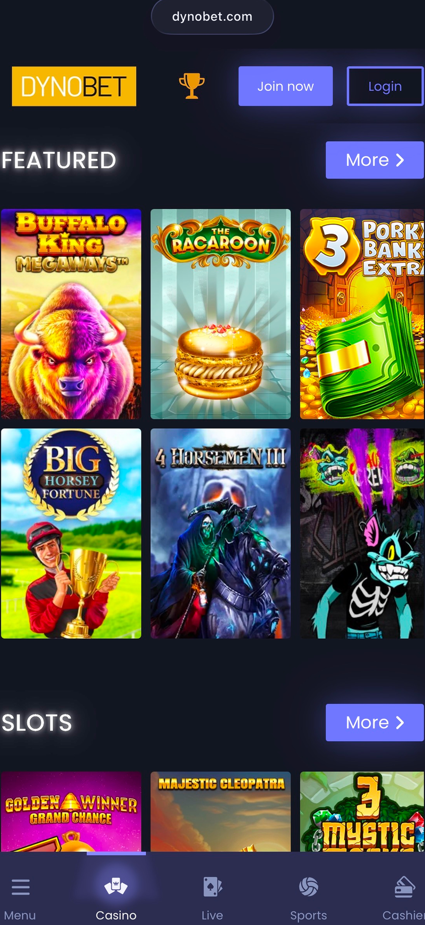 Dynobet gallery image 2