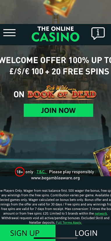 The Online Casino gallery image 1