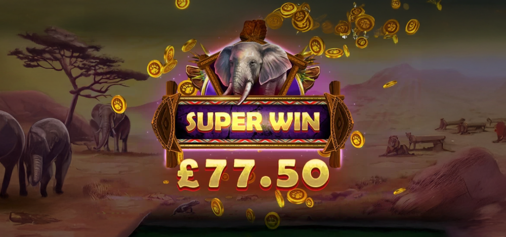 Savannah Pride by Red Tiger