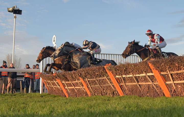 November Meeting betting tips and predictions