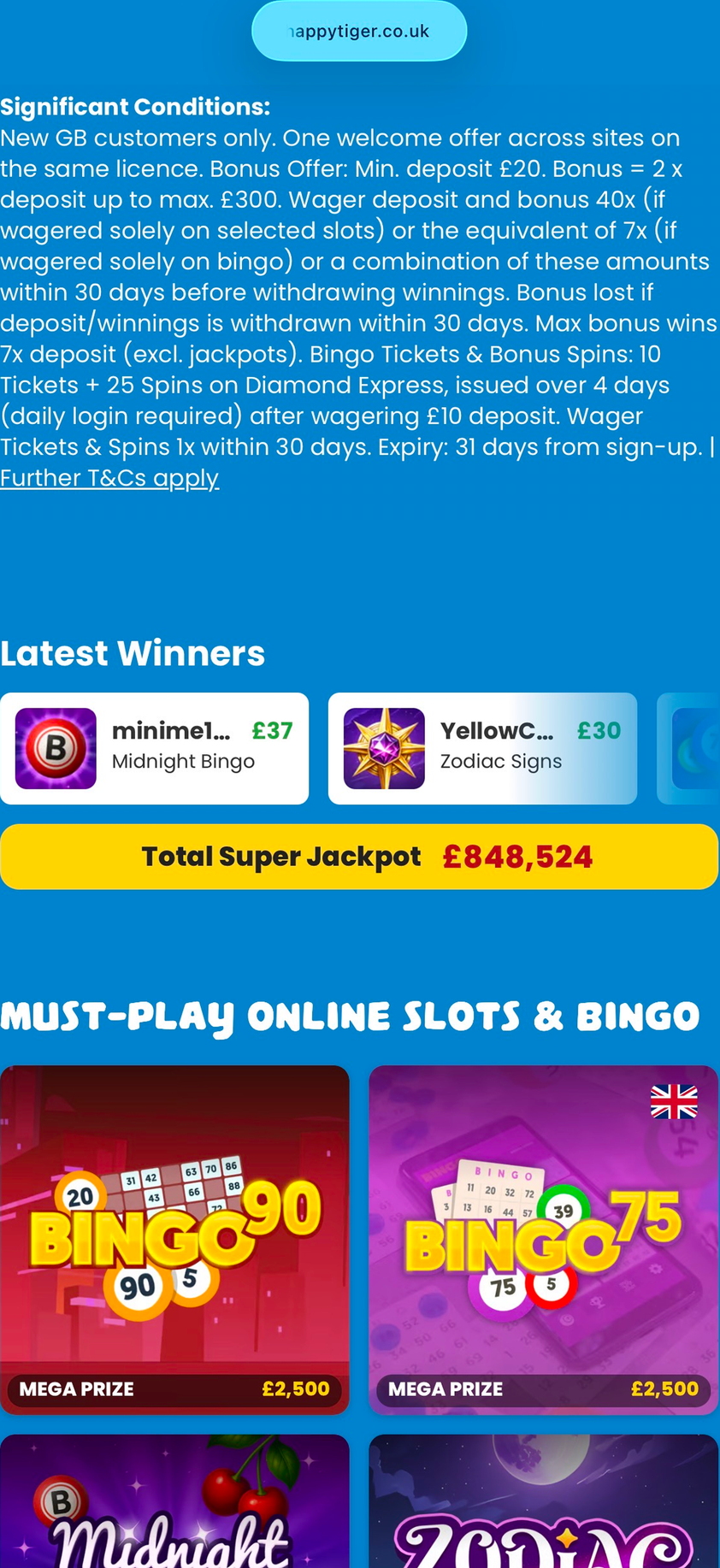 Happy tiger gallery image 1