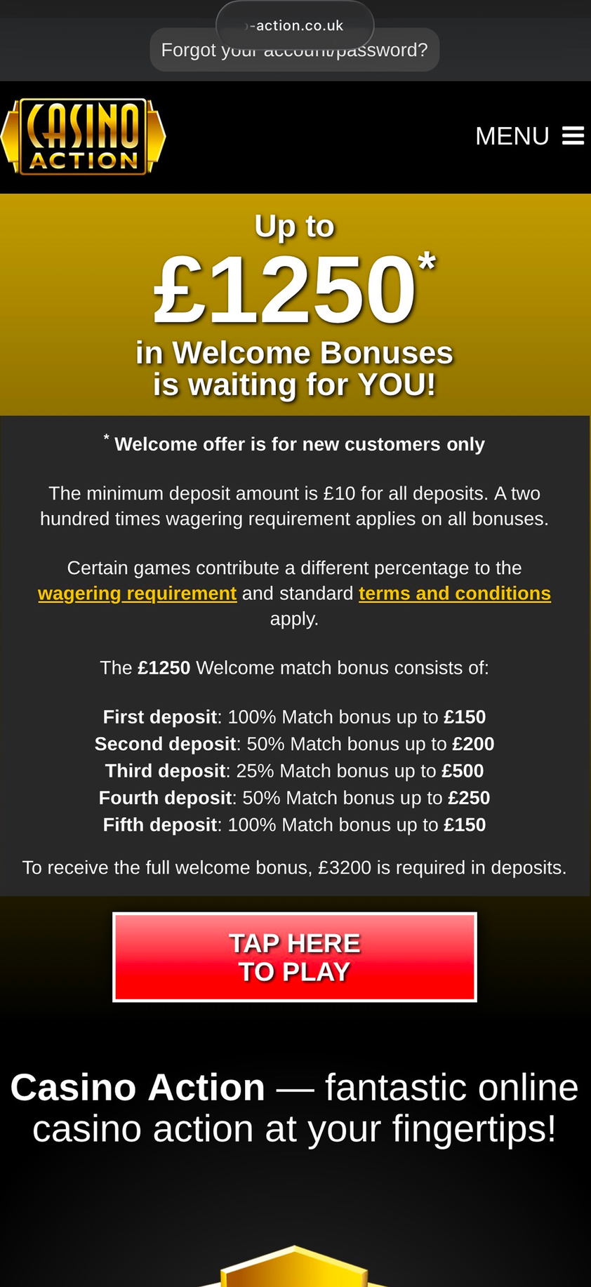 Casino Action gallery image 6