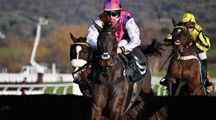 Better Days Ahead indeed: 14 of top 20 Irish Grand National weights taken out