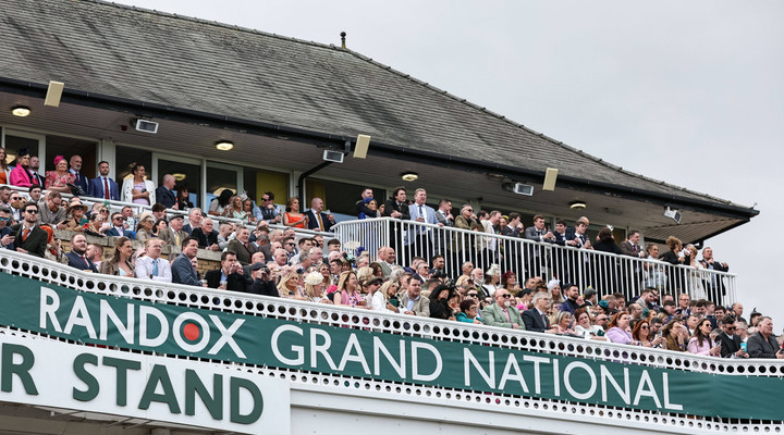 British Horseracing Association bar Mr Incredible from running in the Grand National