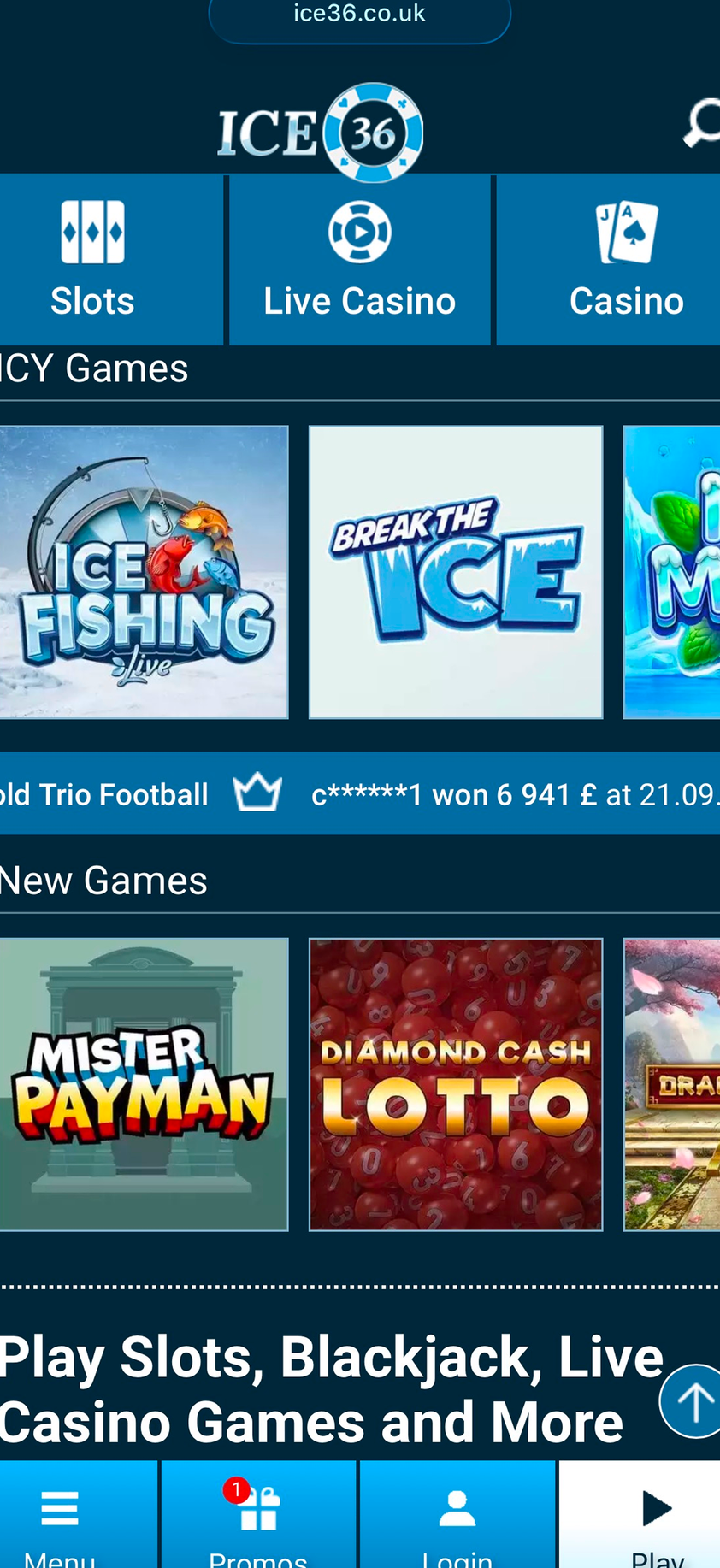 ICE36 gallery image 6