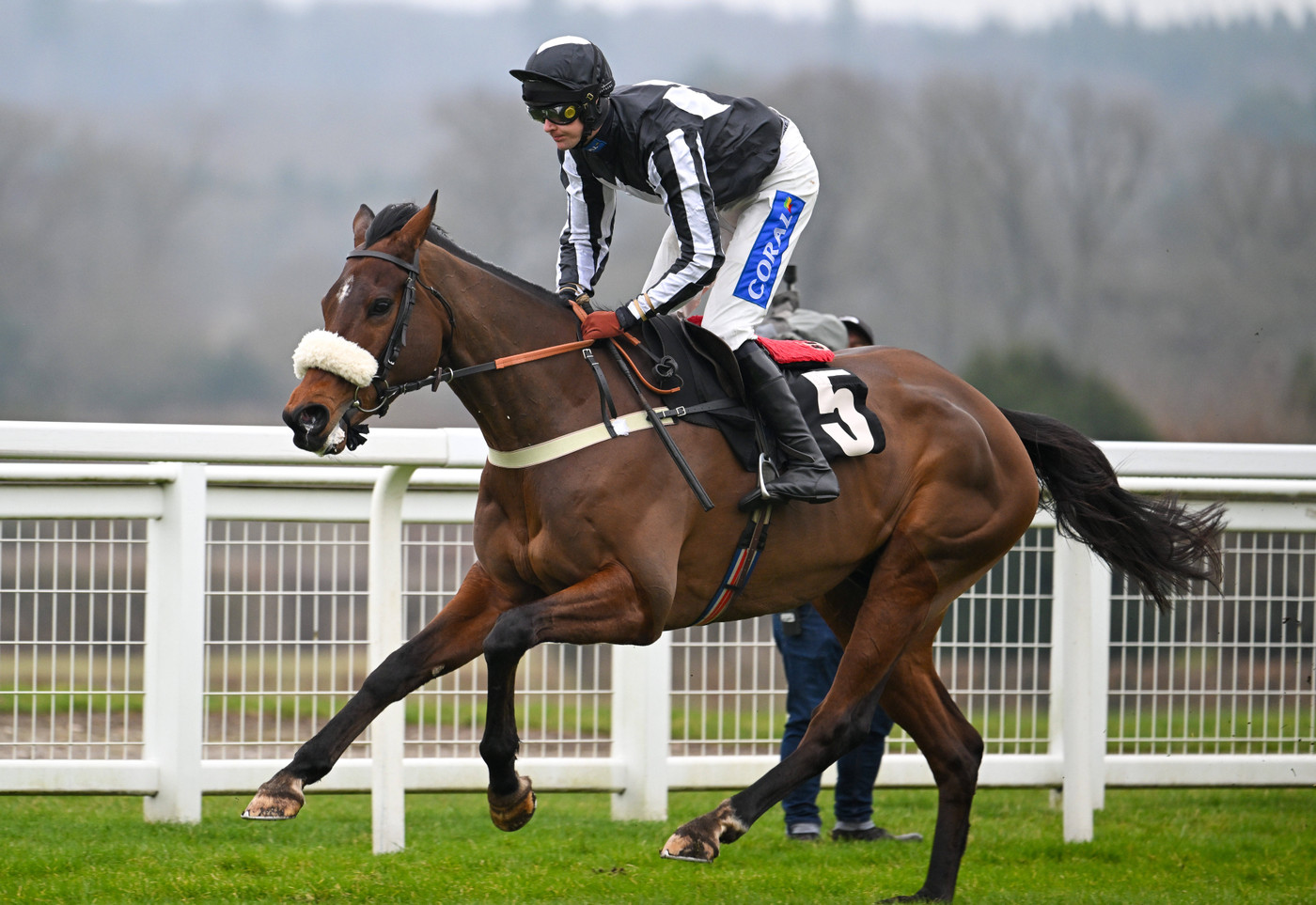Ascot Racecourse integrates ‘Smart View’ betting technology through SSG partnership