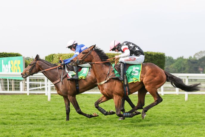 Ted's Treble: Saturday's racing from Sandown and York racecourse