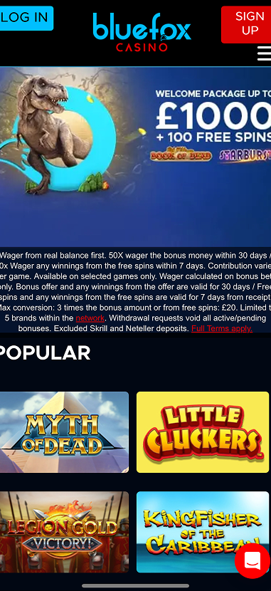 Bluefox Casino gallery image 1
