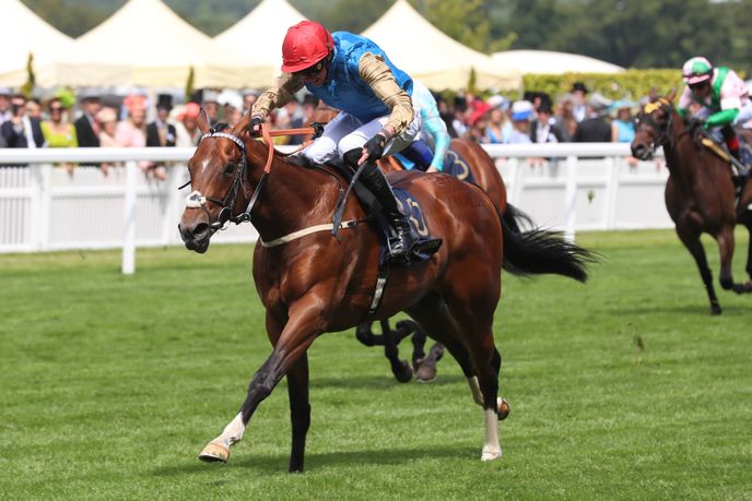 WATCH: David Egan & Jane Chapple-Hyam discuss Ascot runners