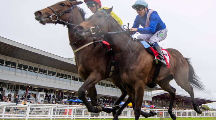 What is a lay bet - the ultimate guide to lay betting