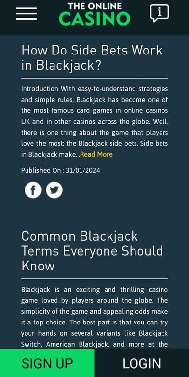 TheOnlineCasino - Everything you need to know