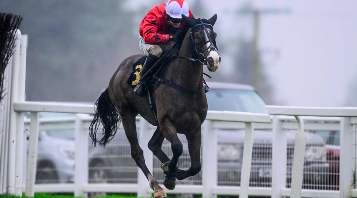 Ted's Weekend Treble: "Djelo should take a lot of beating at Huntingdon"