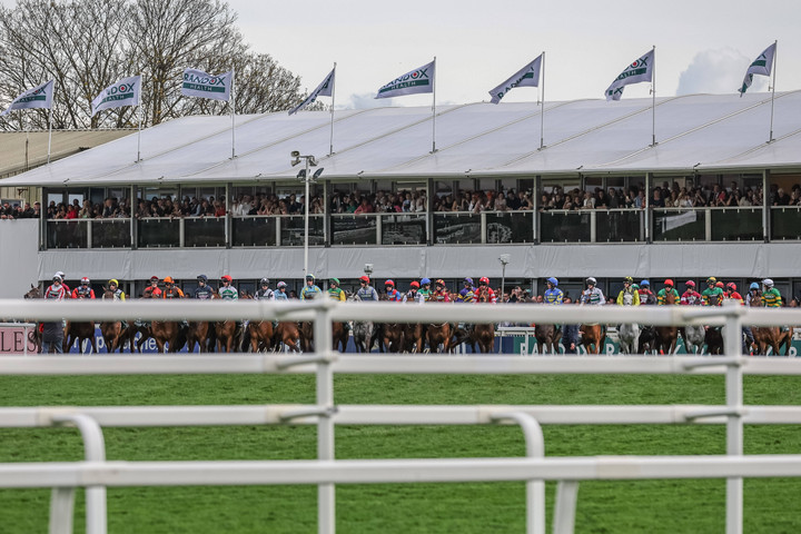 MPs to take part in Grand National 2025 charity bet campaign
