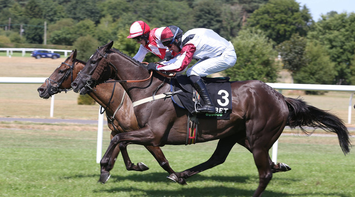 Jamie Snowden interview: Top trainer gives the rundown on his stable stars