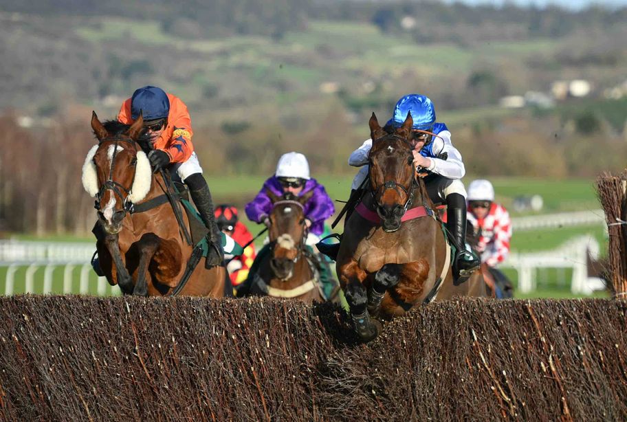 Cheltenham Festival: bet365 offers non-runner no bets