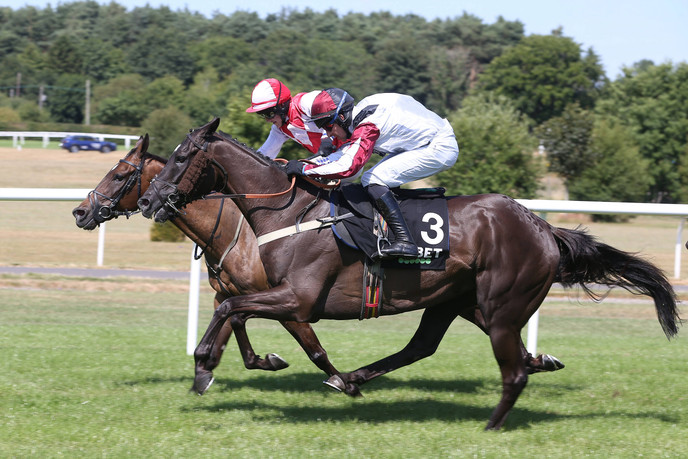 Jamie Snowden gives his views on 12 of his most promising stars