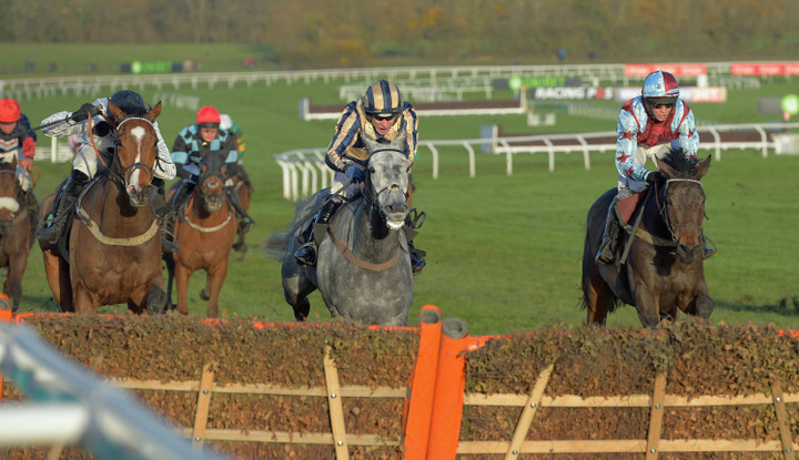 Ted's Treble | Racing tips for November Meeting Day 1