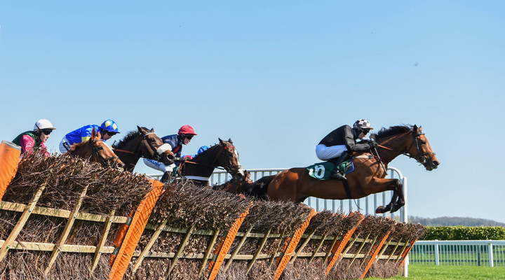 How to bet on horse racing online