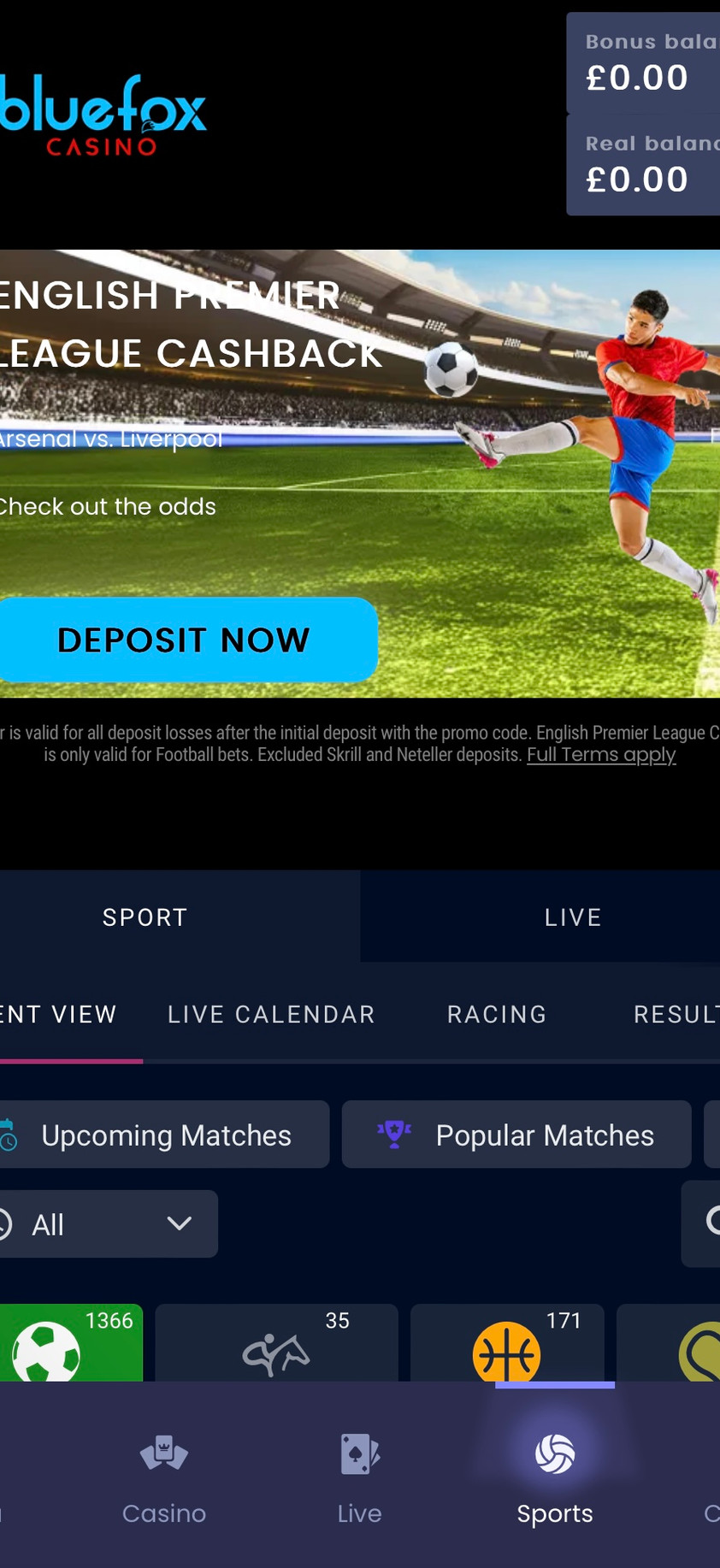 BlueFox Casino gallery image 3
