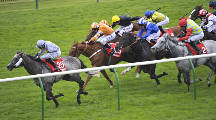 Ted's Treble: Three tips ahead of the Newmarket finale