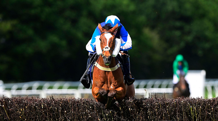 Racing tips - riders and trainers discuss their weekend runners