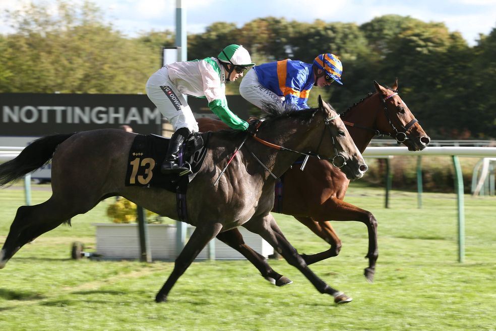 Ted's Treble: Racing tips from Nottingham and Beverley 