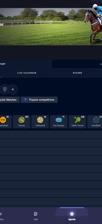 q88bets gallery image 1