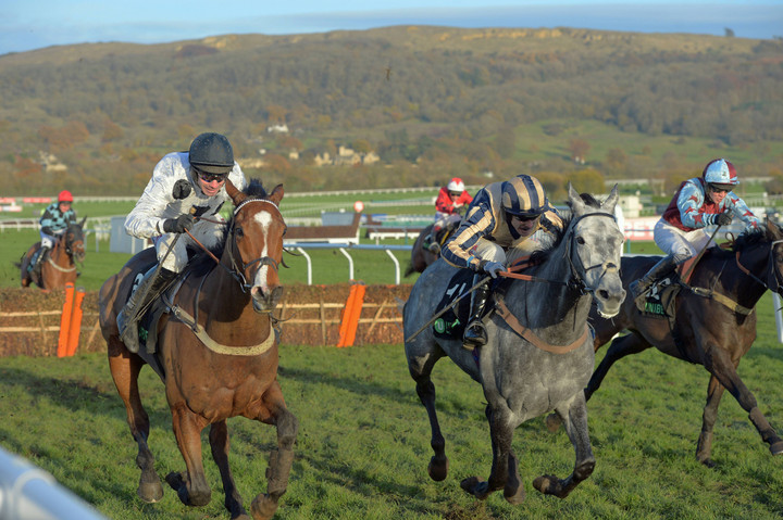 Ted's Treble | Racing tips for November Meeting Day 2