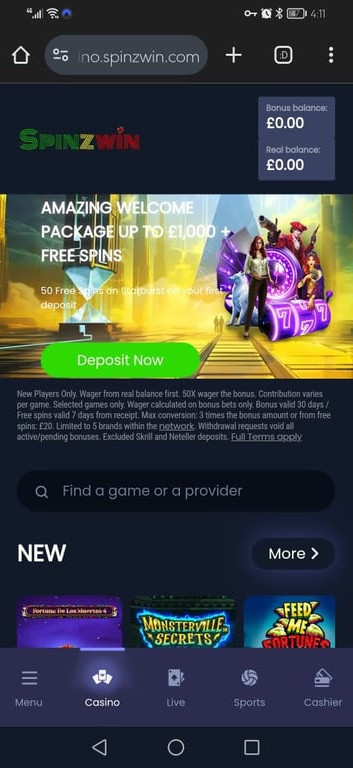 SpinzWin gallery image 9