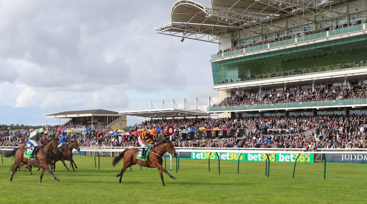 Ted's Treble - racing picks from the action at Newmarket